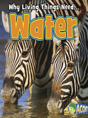 cover image of Water